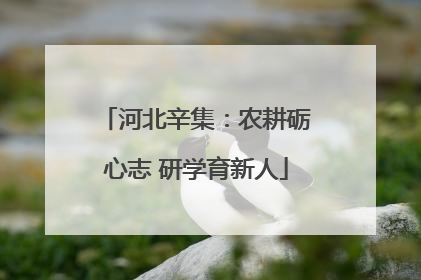 河北辛集：农耕砺心志 研学育新人