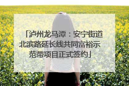 泸州龙马潭：安宁街道北滨路延长线共同富裕示范带项目正式签约