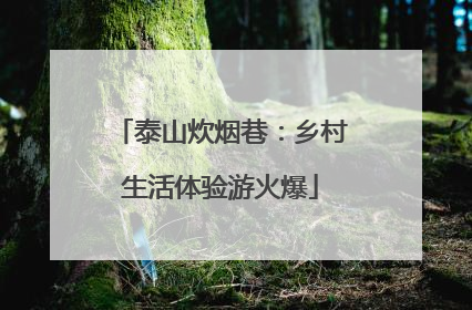 泰山炊烟巷：乡村生活体验游火爆