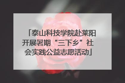 泰山科技学院赴莱阳开展暑期“三下乡”社会实践公益志愿活动