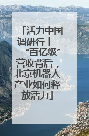 活力中国调研行丨 “百亿级”营收背后，北京机器人产业如何释放活力
