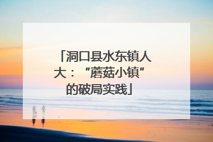 洞口县水东镇人大：“蘑菇小镇”的破局实践