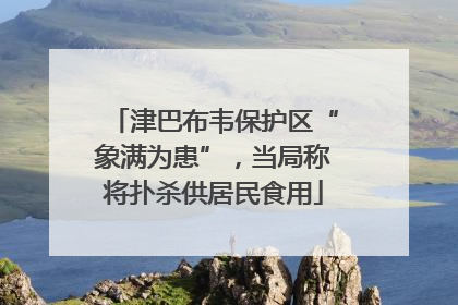 津巴布韦保护区“象满为患”，当局称将扑杀供居民食用
