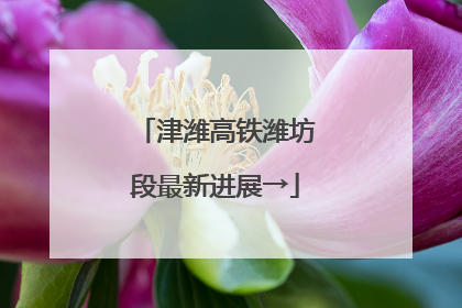 津潍高铁潍坊段最新进展→