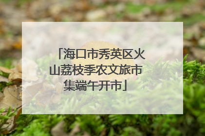 海口市秀英区火山荔枝季农文旅市集端午开市