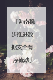 海南稳步推进数据安全有序流动