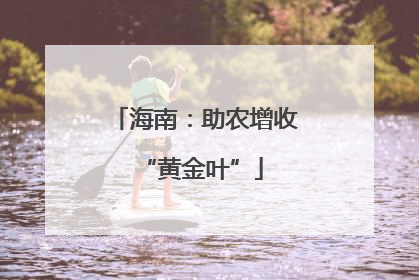 海南：助农增收 “黄金叶”