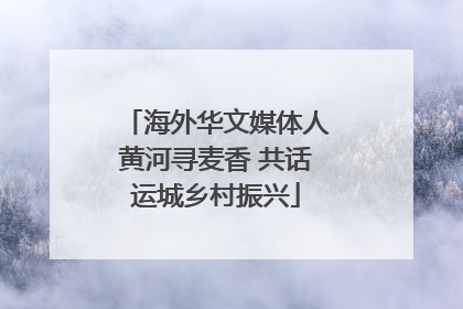 海外华文媒体人黄河寻麦香 共话运城乡村振兴