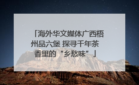 海外华文媒体广西梧州品六堡 探寻千年茶香里的“乡愁味”