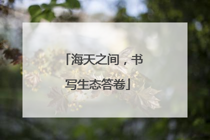 海天之间，书写生态答卷