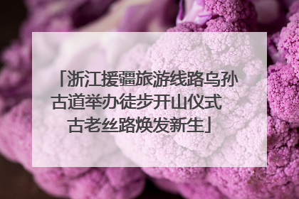 浙江援疆旅游线路乌孙古道举办徒步开山仪式 古老丝路焕发新生