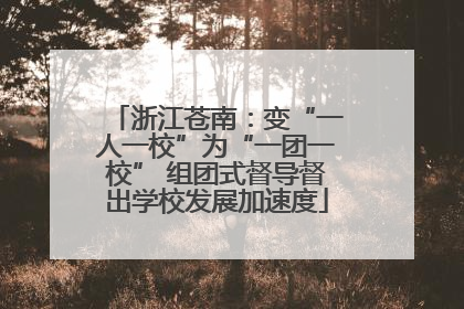 浙江苍南：变“一人一校”为“一团一校” 组团式督导督出学校发展加速度