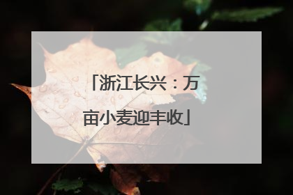 浙江长兴：万亩小麦迎丰收
