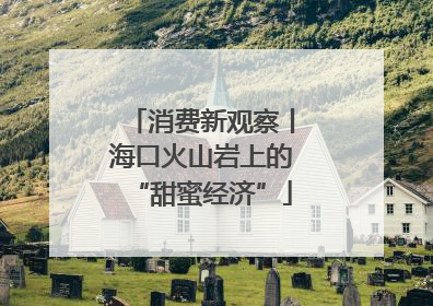 消费新观察丨海口火山岩上的“甜蜜经济”