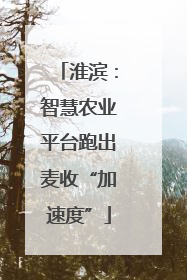 淮滨：智慧农业平台跑出麦收“加速度”
