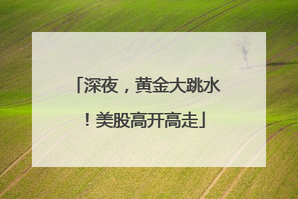 深夜，黄金大跳水！美股高开高走