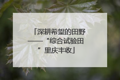 深耕希望的田野——“综合试验田”里庆丰收
