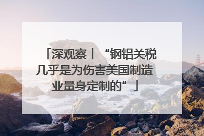 深观察丨“钢铝关税几乎是为伤害美国制造业量身定制的”