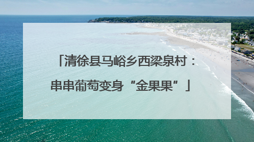 清徐县马峪乡西梁泉村：串串葡萄变身“金果果”