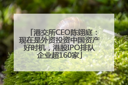 港交所CEO陈翊庭：现在是外资投资中国资产好时机，港股IPO排队企业超160家