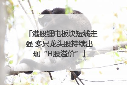 港股锂电板块短线走强 多只龙头股持续出现“H股溢价”
