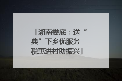 湖南娄底：送“典”下乡优服务 税惠进村助振兴