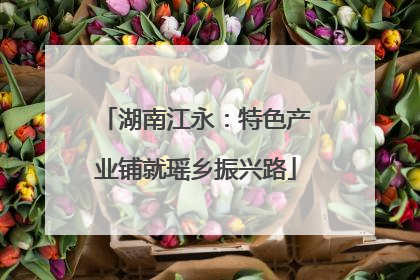 湖南江永：特色产业铺就瑶乡振兴路