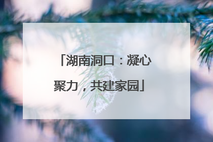 湖南洞口：凝心聚力，共建家园