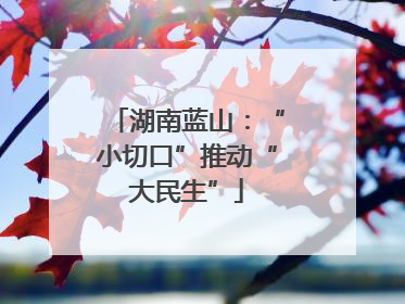湖南蓝山：“小切口”推动“大民生”
