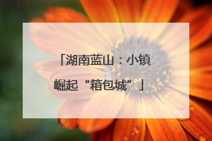 湖南蓝山：小镇崛起“箱包城”