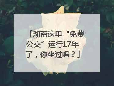 湖南这里“免费公交”运行17年了，你坐过吗？