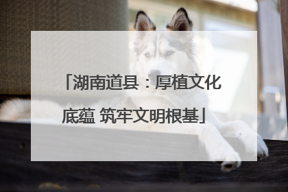 湖南道县：厚植文化底蕴 筑牢文明根基