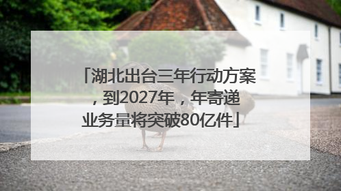 湖北出台三年行动方案，到2027年，年寄递业务量将突破80亿件