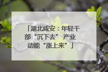 湖北咸安：年轻干部“沉下去” 产业动能“涨上来”