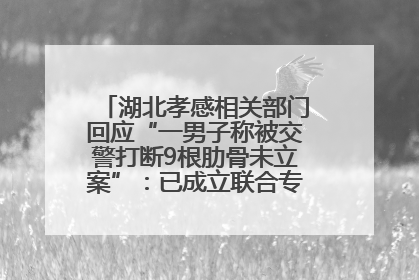 湖北孝感相关部门回应“一男子称被交警打断9根肋骨未立案”：已成立联合专班开展工作