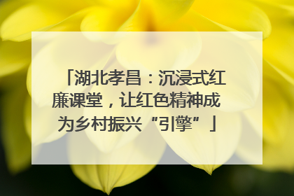 湖北孝昌：沉浸式红廉课堂，让红色精神成为乡村振兴“引擎”
