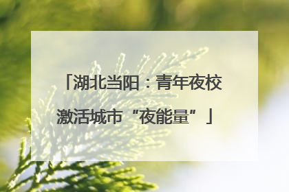 湖北当阳：青年夜校激活城市“夜能量”