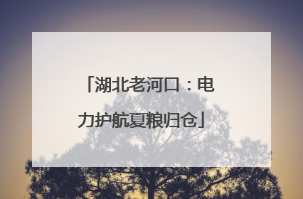 湖北老河口：电力护航夏粮归仓