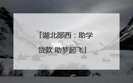 湖北郧西：助学贷款 助梦起飞