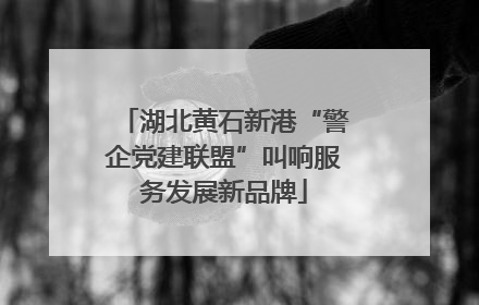 湖北黄石新港“警企党建联盟”叫响服务发展新品牌