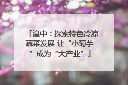 湟中：探索特色冷凉蔬菜发展 让“小菊芋”成为“大产业”