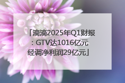 滴滴2025年Q1财报：GTV达1016亿元 经调净利润29亿元