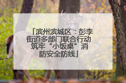滨州滨城区：彭李街道多部门联合行动 筑牢“小饭桌”消防安全防线