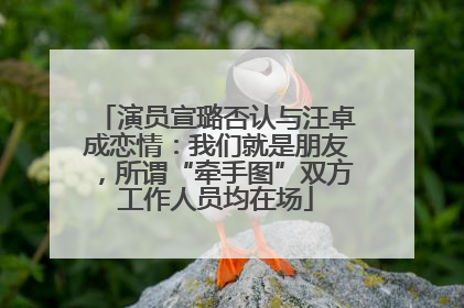 演员宣璐否认与汪卓成恋情：我们就是朋友，所谓“牵手图”双方工作人员均在场