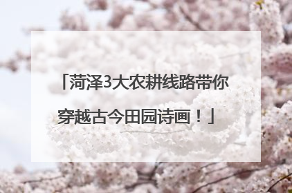 菏泽3大农耕线路带你穿越古今田园诗画！