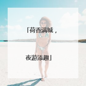 荷香满城，夜游添趣