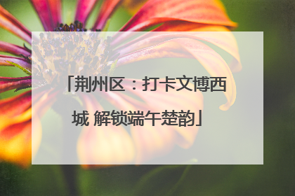 荆州区：打卡文博西城 解锁端午楚韵