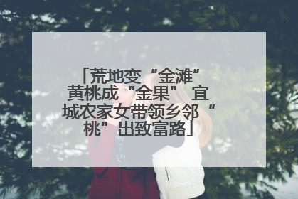 荒地变“金滩” 黄桃成“金果” 宜城农家女带领乡邻“桃”出致富路