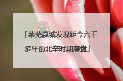 莱芜嬴城发现距今六千多年前北辛时期磨盘