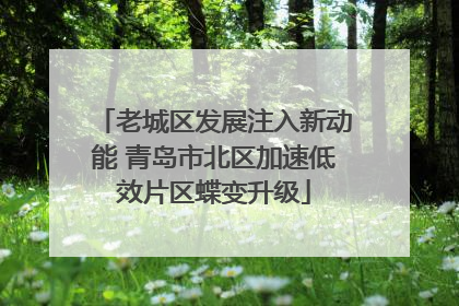 老城区发展注入新动能 青岛市北区加速低效片区蝶变升级